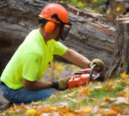 tree services Luverne